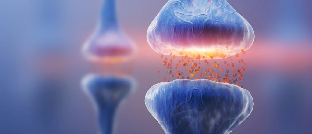 formation intelligence intuitive neuroscience