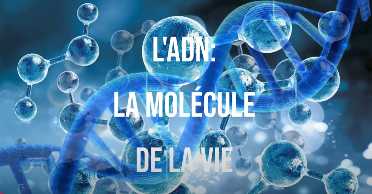 L&rsquo;ADN scientifique et spirituel